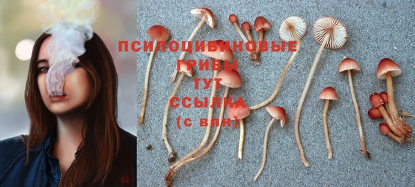 кристаллы Михайлов