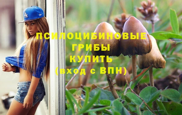 МДПВ Алексин