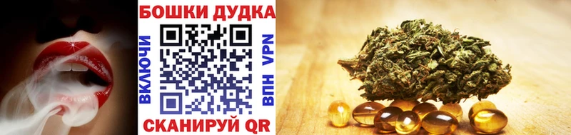 Бошки Шишки Amnesia Алейск
